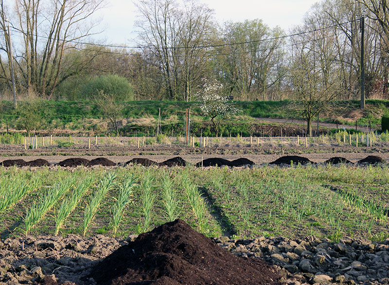 Compostgebruik